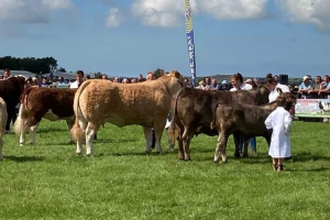 Celtic Green at Pembrokeshire County Show